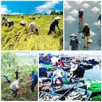 Tiêu chí hộ gia đình làm nông nghiệp có mức sống trung bình